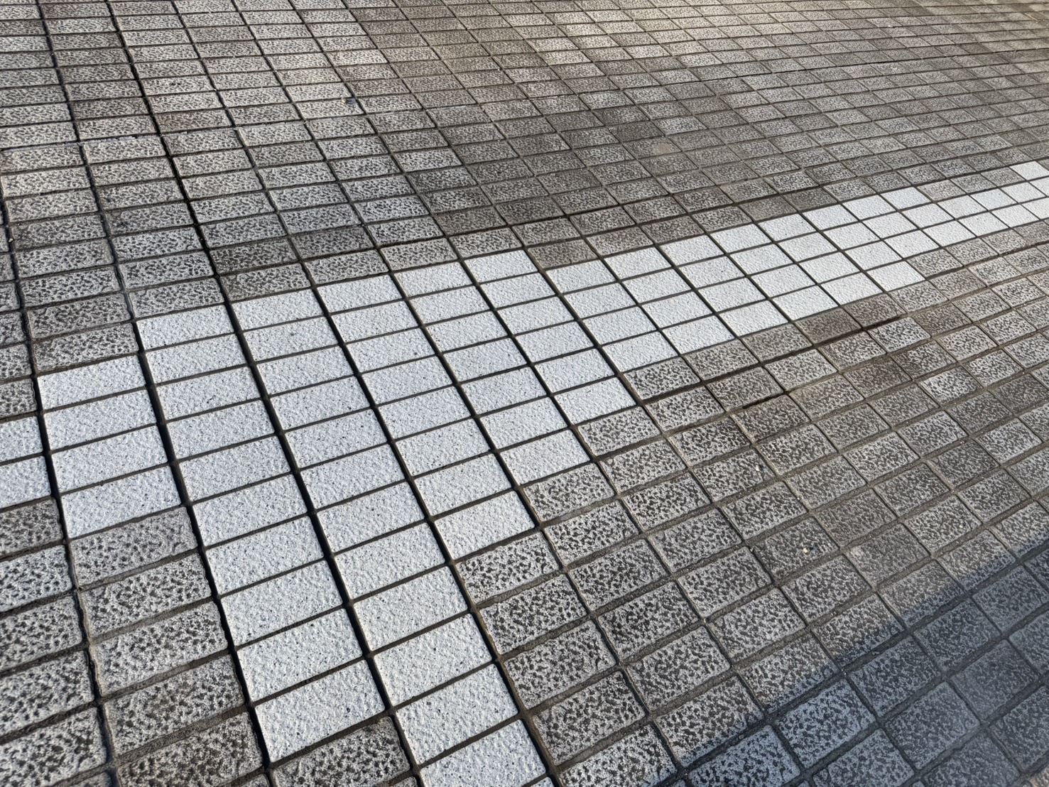 S__19644425_0
